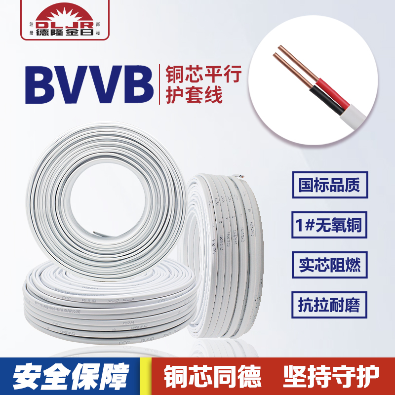 GB two core copper core sheathed wire BVVB1 5 2 5 4 6 parallel line 2 core 10 square 16 cable white wire