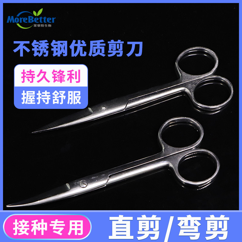 园艺用品 14cm直尖不锈钢剪刀 组培器械 接种专用剪刀 18cm弯尖