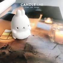 CANDLE LAB ) Stereo Rabbit DIY Aromatherapy Plaster Candle Expanded Perfusion Handmade Silicone Mould 25