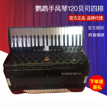 Parrot accordion 120 96 60 48 bass three and four rows of springs for childrens beginners to play the accordion professionally