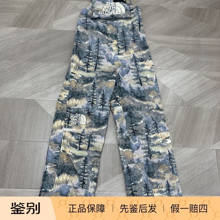 Gucci X the North Face Collaboration Women's Snow Mountain Print Forest Series Ski Pants Ski Overalls