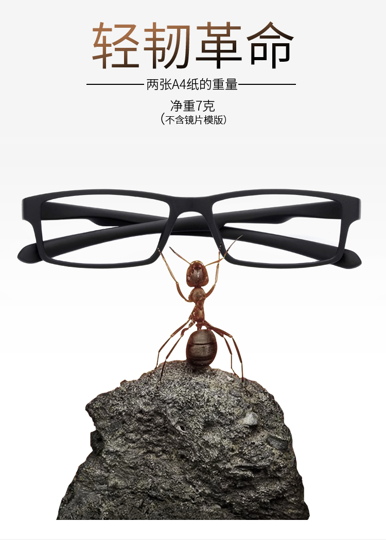 Montures de lunettes LESTER    en Memoire plastique - Ref 3140609 Image 10