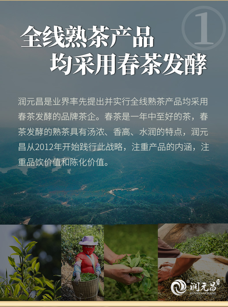 润元昌 云南勐海糯香老茶头 云南普洱熟茶 250g 图12