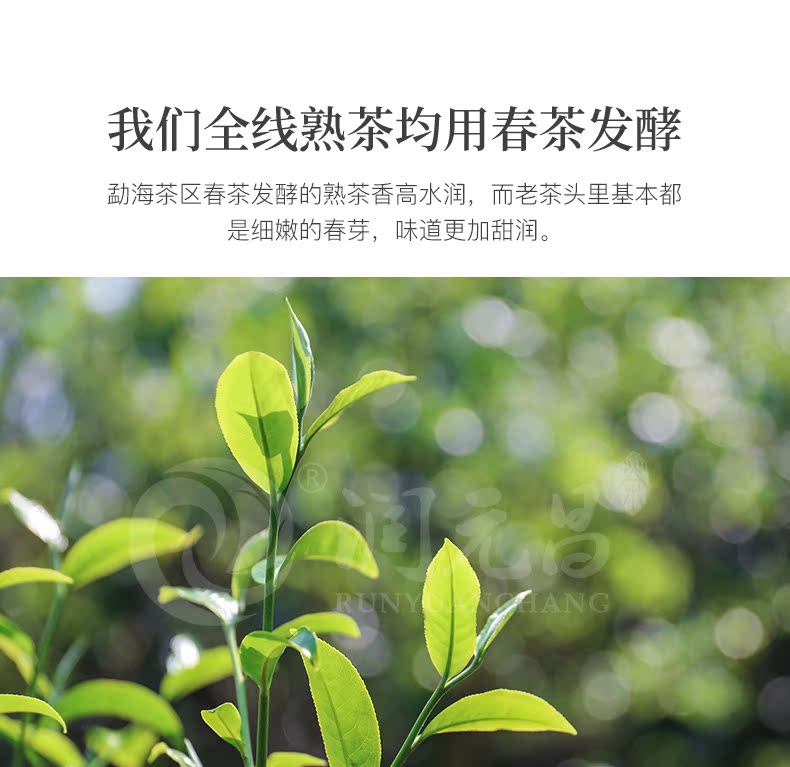 润元昌 云南勐海糯香老茶头 云南普洱熟茶 250g 图4