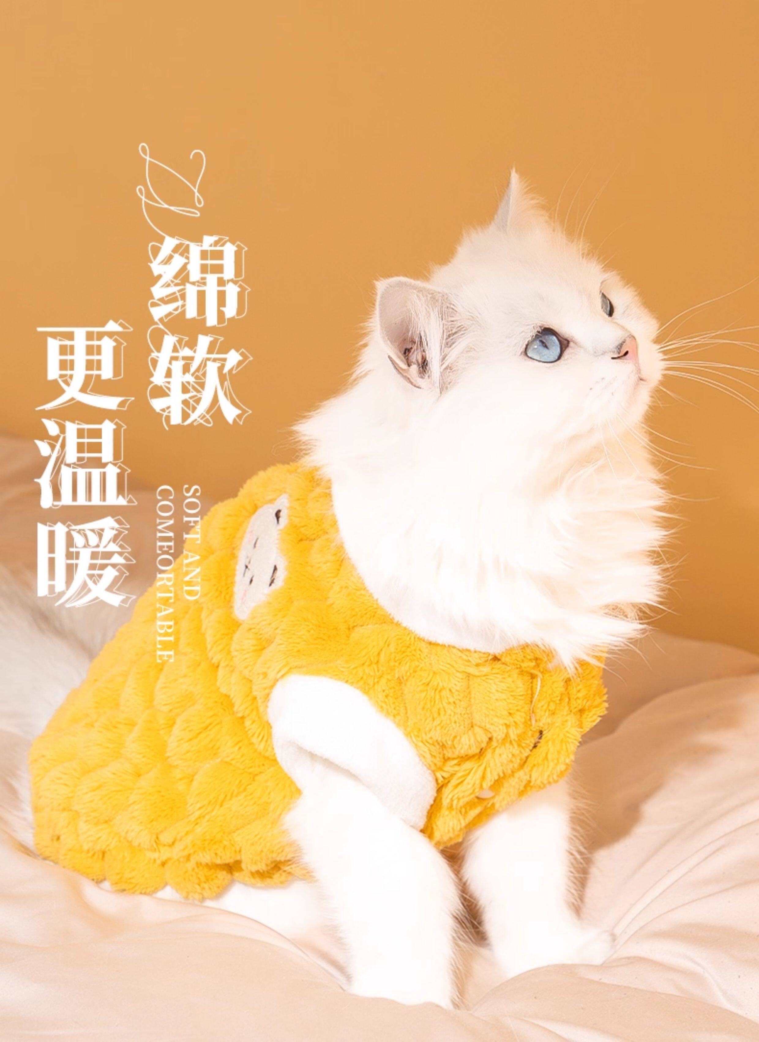 Одежда для животных 狗狗衣服过年秋冬款可牵引比熊泰迪小型犬冬天宠物猫咪衣服加绒