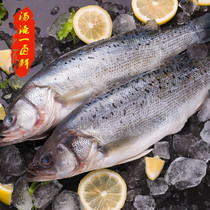 Tang Yiyi braised fresh Qingdao flavor Three-to-go sea bass frozen open back marinated aquatic seafood Lu fresh food barbecue