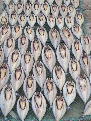 Qingdao specialty, a braised sweet and dried mackerel, salted mackerel, dried goods, farm self-drying, air-dried mackerel, grilled fish