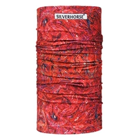 Дунхуан впечатлил красный