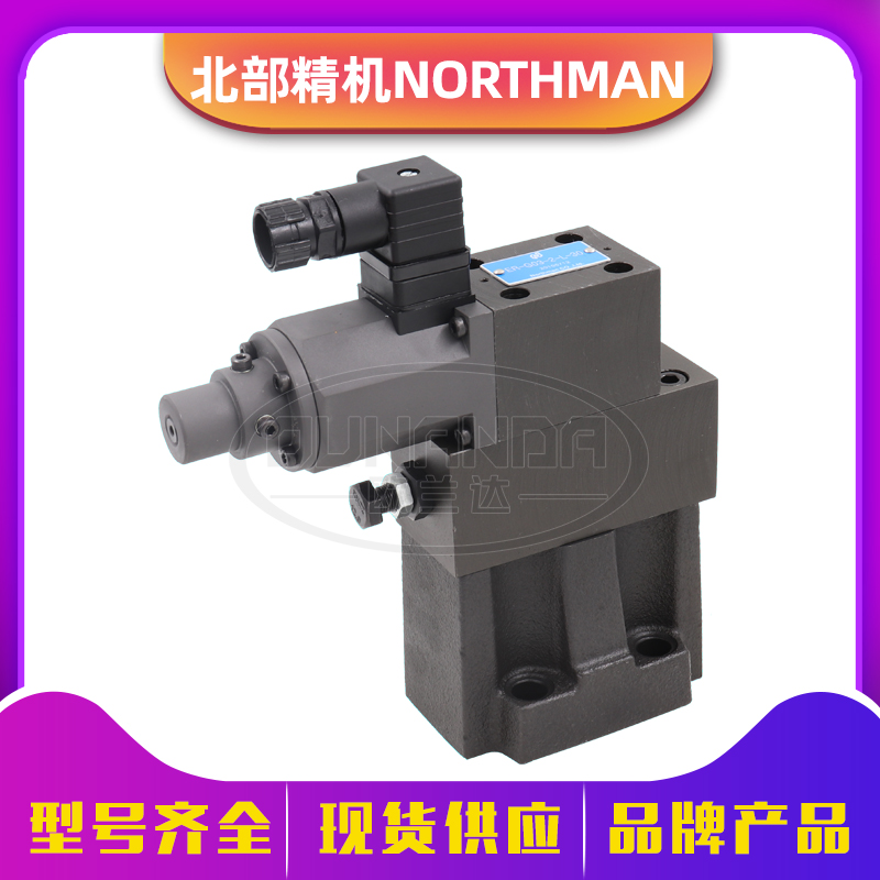 Taiwan Northman North Seiki ER-G03 G06-1 2 3-L R-31 pilot proportional relief valve