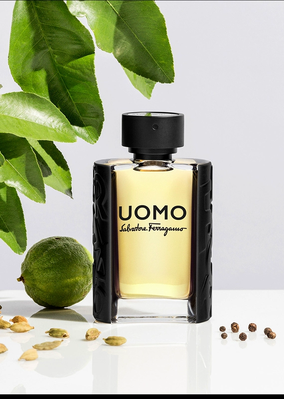 FERRAGAMO / Ferragamo Đỉnh Yi Feng Fan Hộp quà tặng Eau de Toilette nam giới (Nước hoa Uomo SF) - Nước hoa