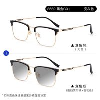 8669 черное золото + от плоского до серого