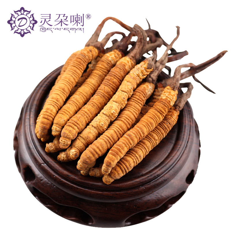 Lingdala 10 grams of Cordyceps sinensis Qinghai Yushu wild East worm sinensis 4 roots 1 gram total 10 grams of Cordyceps