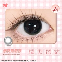 [Тестовый набор цветов из 2 штук] Breeze Morning Dew Black (Single Color Black 04)