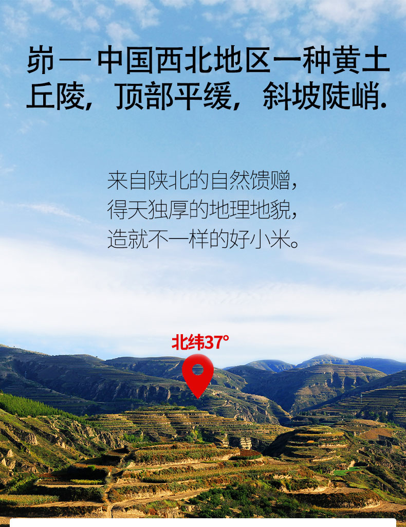 陕北黄小米粗粮糯粘稠月子粥米5斤