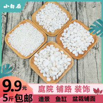 White cobblestone landscaping stone garden decoration Pebble potted fleshy pasta small white stone Rain Flower Stone