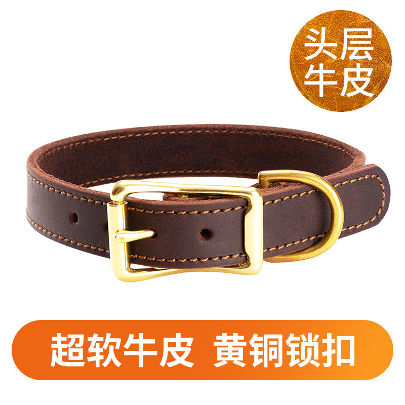 Headlayer Bull Leather Dog Neckline large canine Dog Neck dog neck Pet Neck Ring Haschic Infighting Autumn Fields Dog Collar