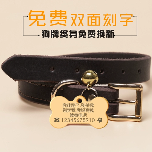 Card Card Card Grvilar определение бренда индивидуальная кошачья бренда плюшевые золотые волосы