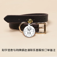 Коричневый воротник+круглый собака карта