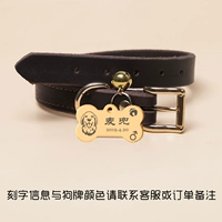 Коричневый воротник+карта костной собаки