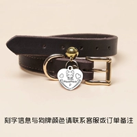 Коричневый воротник+карта собаки в форме сердца