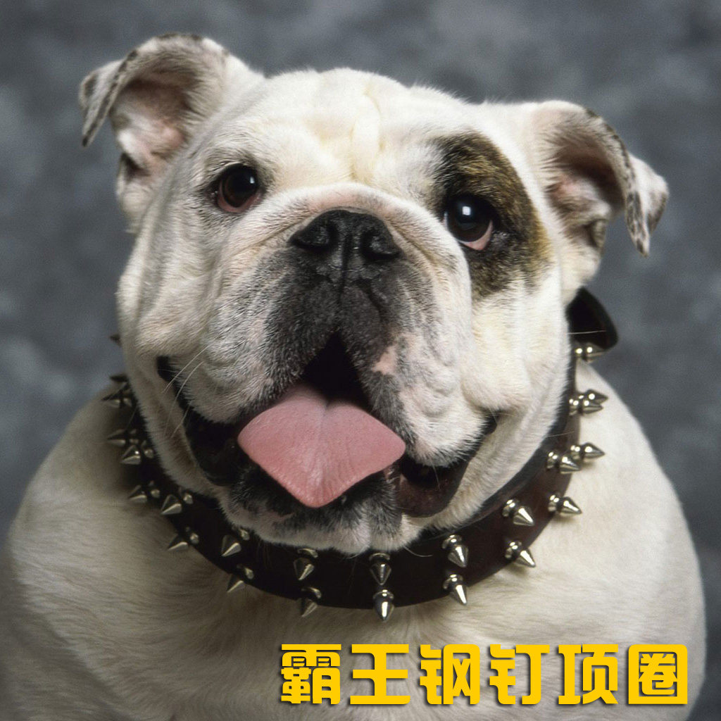 Bull Leather Rivet Dog Neckline Double Row Spike Nail neck sleeve Large Dog Durbin Infighting bully anti-bite neck ring