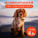 Идентификационная карта собачьей карты индивидуальная буква