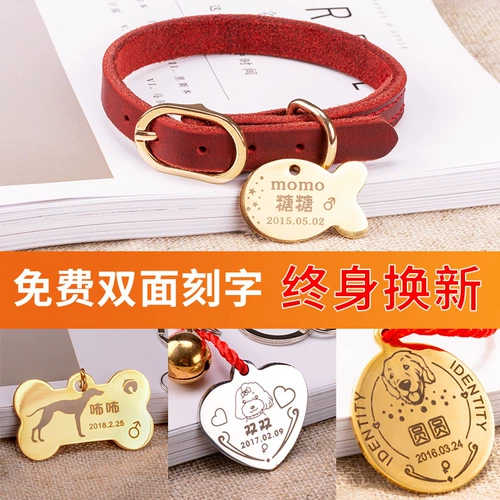 Идентификационная карта собачьей карты индивидуальная буква