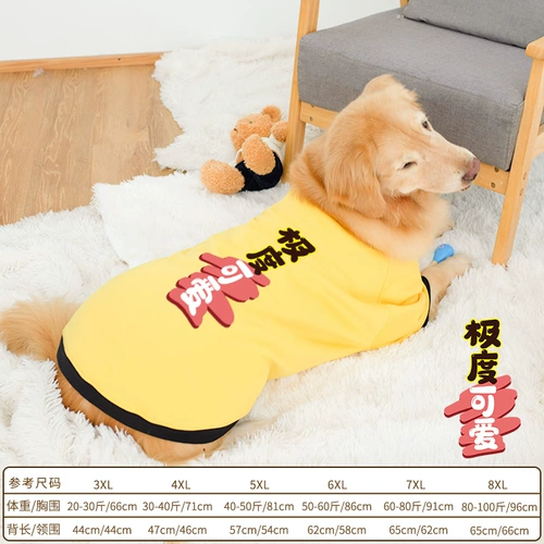 Золотая ретривера собачья одежда Новый год осень и зимние латино -зимние праздничные фестивали на самуи с средними собаками Новый год