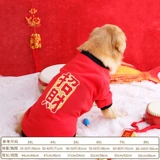 Большая собачья одежда новогодней осенни и зимнего новогоднего лабрадора зимний золотой ретривер собака для средней собаки большие собаки большая собака