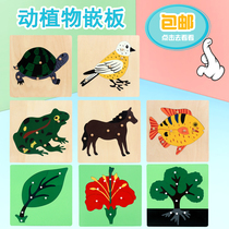 Montessori teaching aids 88-piece set Montessori early education childrens toys Puzzle puzzle hand grab board Animal and plant panel