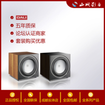 DALI Dani SUB E-12F E-9F SUB C- 8D active home theater subwoofer National Bank