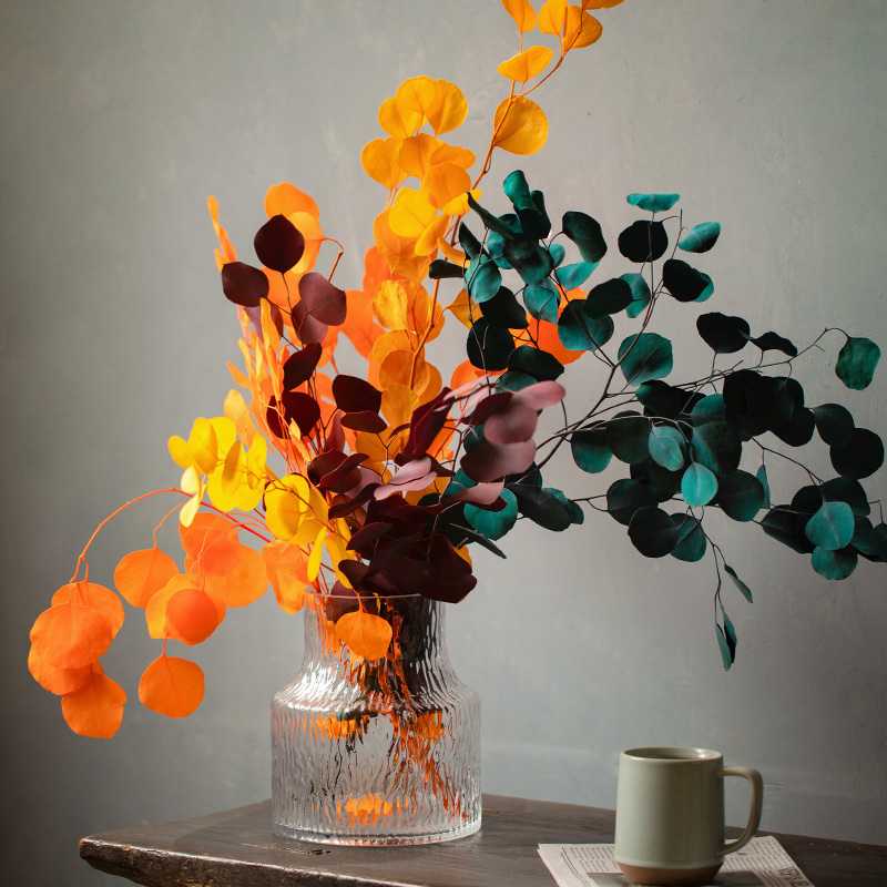 Big belly glass vase chunky big mouth net red Japanese-style hydroponic lily flower vase decoration living room flower arrangement