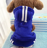 Синяя спина - узор abidog