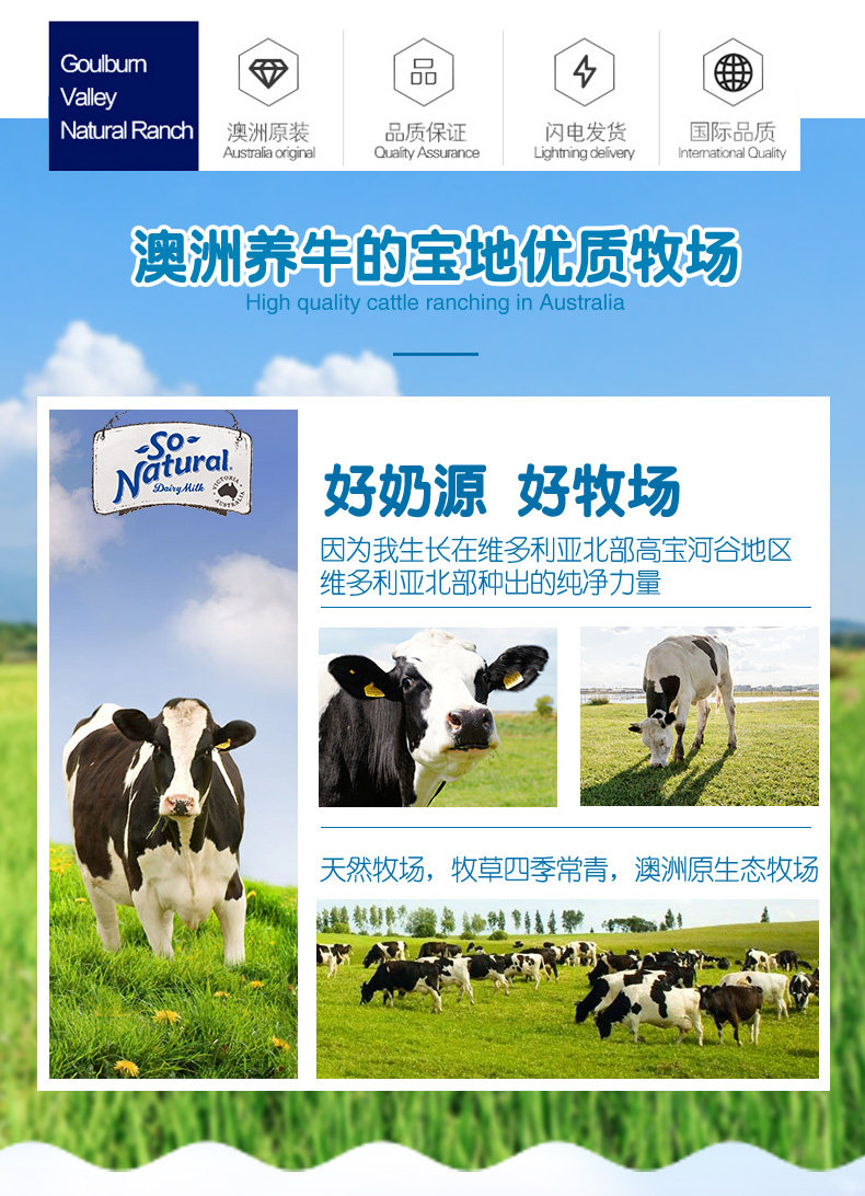 澳洲原装进口 VitalStrength 脱脂纯牛奶 200ml*24盒 图5
