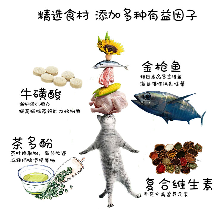 Có mèo, mèo nhỏ, mèo, bánh sữa, lon mềm, mèo nghịch ngợm, bibimbap gạo, hộp cơm trưa cho mèo, mèo, thức ăn ướt, đồ ăn nhẹ, 40g - Đồ ăn nhẹ cho mèo Review các loại hạt cho mèo
