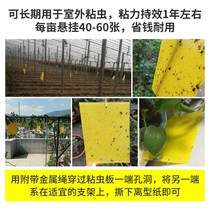 Practical Gummy insects Household flying insects Armyworm paper fruit trees insect glue paper insect-proof Tea Fruit Forest catching mosquitoes