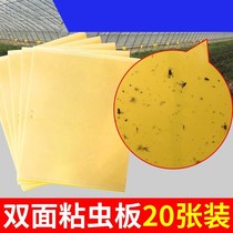 Mosquito flycatcher fruit tree sticky insect paper potted mosquito-killing viscose vegetable garden waterproof and convenient hanging double-sided vegetable