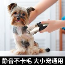 Teddy dog electric hair pusher pet dog Razor electric push for dog shearing electric push home puppy