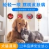 Golden Shield Pitfen nổi mụn sử dụng bên ngoài chó bệnh nấm phun nấm mạt mèo cưng 癣 mèo hoa mẫu đơn - Cat / Dog Medical Supplies giá máy siêu âm thú y Cat / Dog Medical Supplies