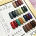 2020 Màu thời trang mới Nail Art Nail Polish Series Bộ nhỏ Maple Leaf Caramel Burgundy Morandi màu - Sơn móng tay / Móng tay và móng chân Sơn móng tay / Móng tay và móng chân