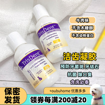 American TrisDent tooth cleaning gel oral anti-inflammation for cats and dogs with swollen and bleeding gums for cleaning pet teeth