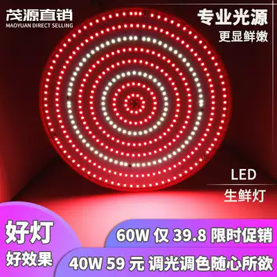 Factory direct batch LED fresh lamp pork lamp cooked food lamp fruit lamp red red light LED supermarket lamp direct sales
