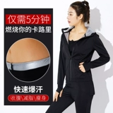 Комплект, толстовка с капюшоном, лонгслив, утягивающий пояс на талию, куртка, спортивная форма, большой размер, для бега