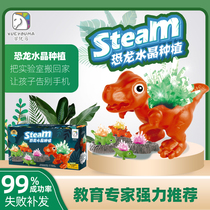 steam science experiment student toy dinosaur planting growth Crystal diy fun June 1 Childrens Day gift