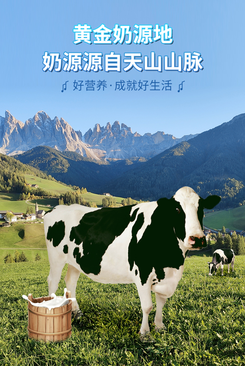西域春 天山新鲜纯牛奶 200克*20盒 图3