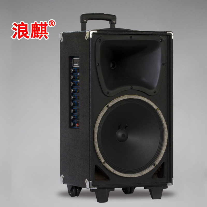 Wang Ki sound 7100 outdoor high power pull rod speaker K - singer microphone 10 inch trumpet tenor double wireless