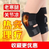   ネ ネ 蓉 蓉 蓉  缡     缡 デ デ デ デ デ デ 缡 缡 缡 缡 缡 缡