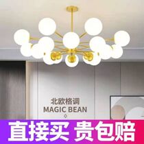 Post-modern light luxury chandelier living room simple atmospheric molecular lighting restaurant bedroom master cafe furniture lamps