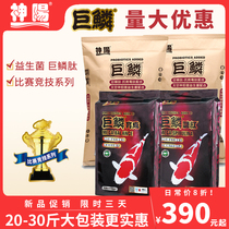 Shenyang giant scale competition grade koi fish feed to increase color and body low water temperature fish food fish food 20kg 30kg large package