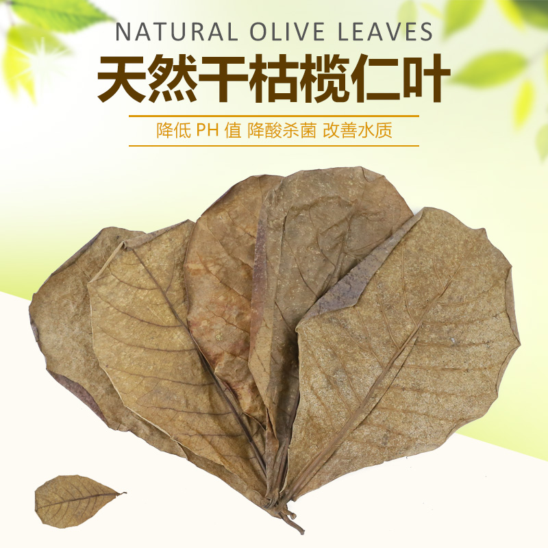 Natural dry olive leaf fish tank landscaping decoration yellow water special acid lowering to reduce PH value lazy leaf olive leaf improvement